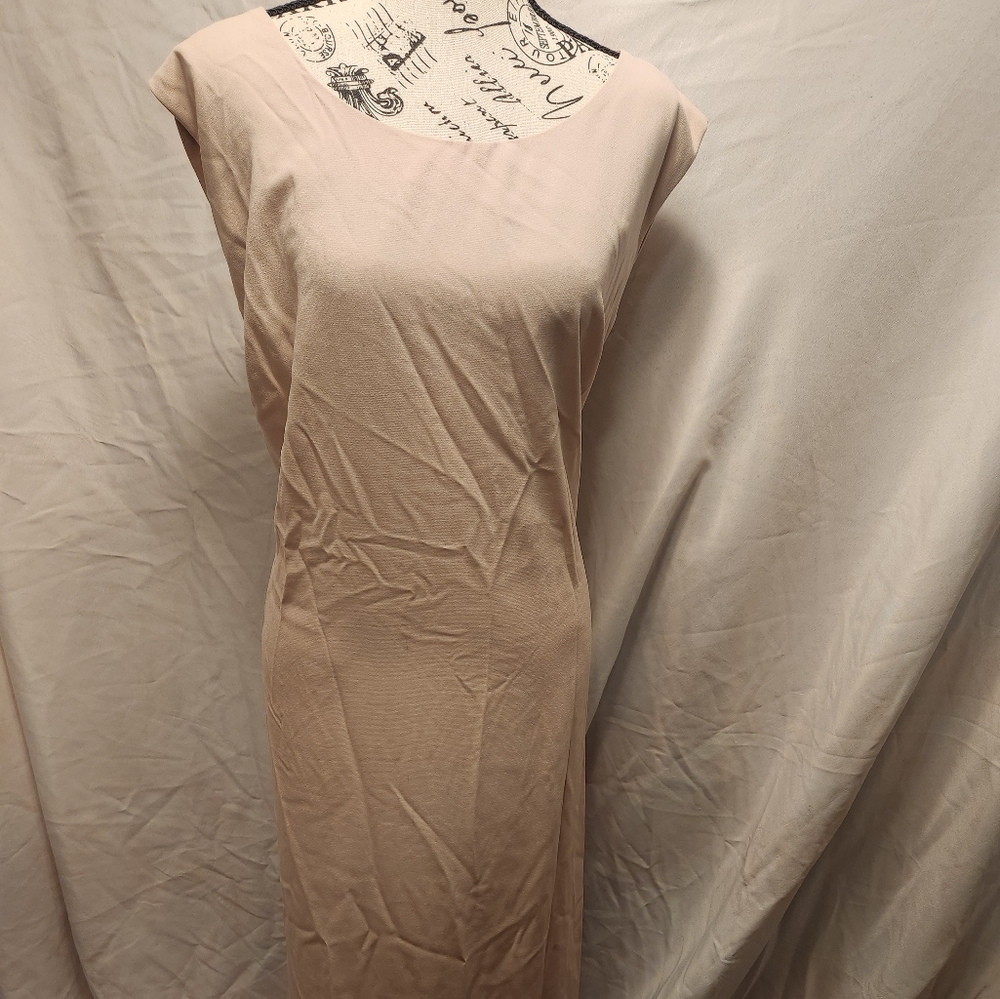 R&M Richards 28W Full Length Cream Dress